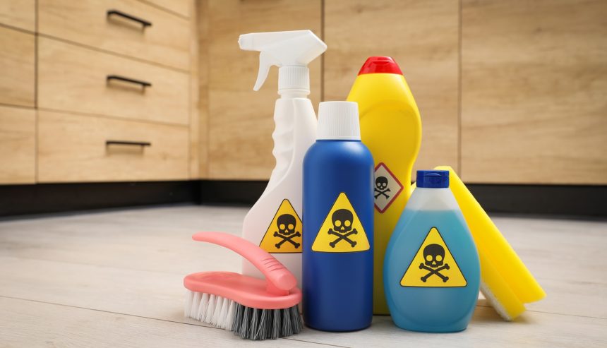 How a Handheld Steam Cleaner Can Replace Harsh Chemicals in Your Home